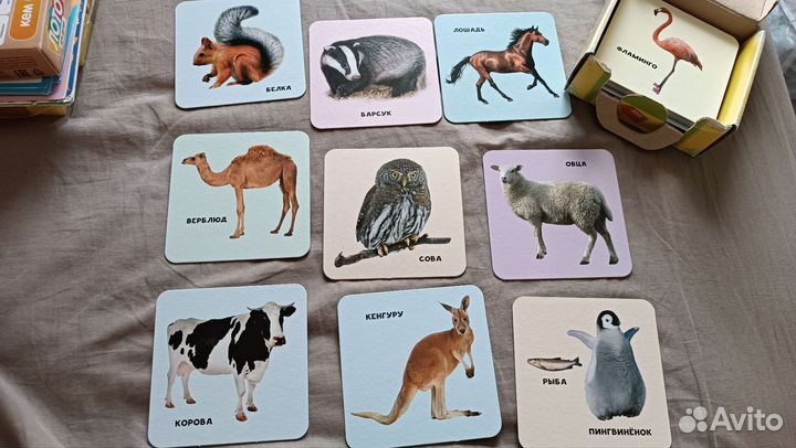 Блоки Дьенеша, iQ лото тени, умный чемоданчик