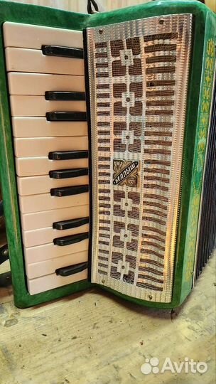 Аккордеон 