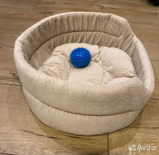 Лежанка для животных бу