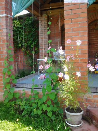 Дом 60 м² на участке 15 сот.