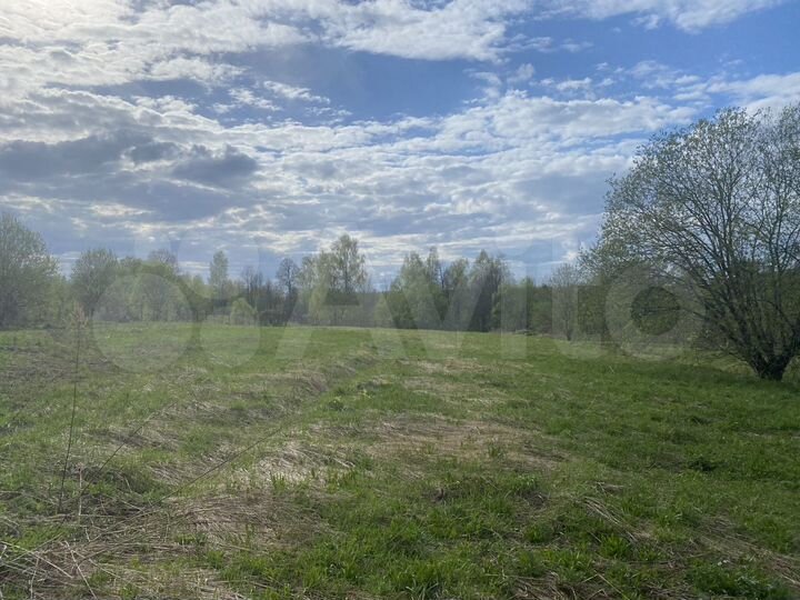 Участок 50 сот. (ИЖС)