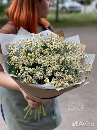 Букет ромашек бесплатная доставка по городу