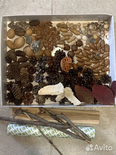 Набор бокс для декора поделок школа сад