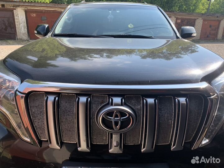 Сетки в решётку радиатора