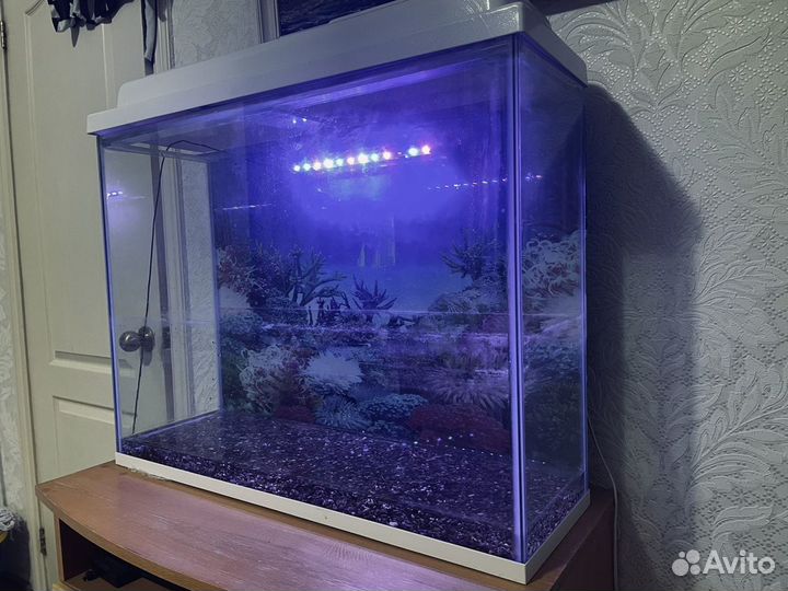 Аквариум