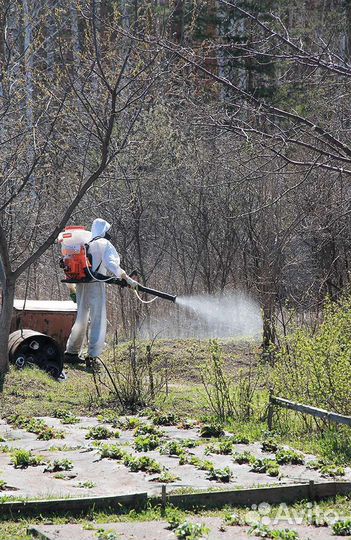 Дезинфекция