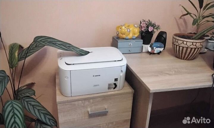 Кенон 6000