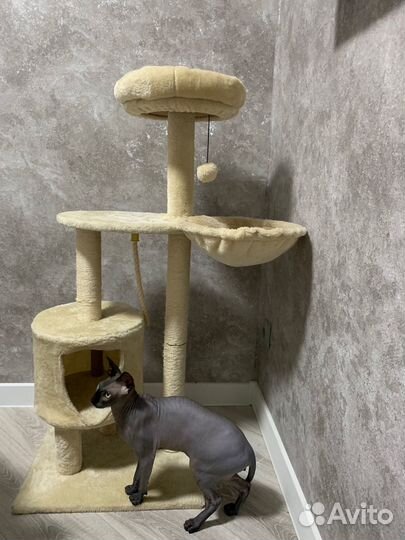 Домик лежанка для кошки с когтеточкой