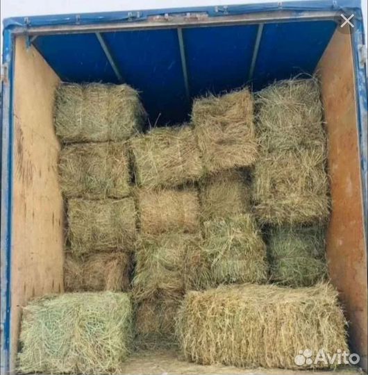 Сено в тюках 2024