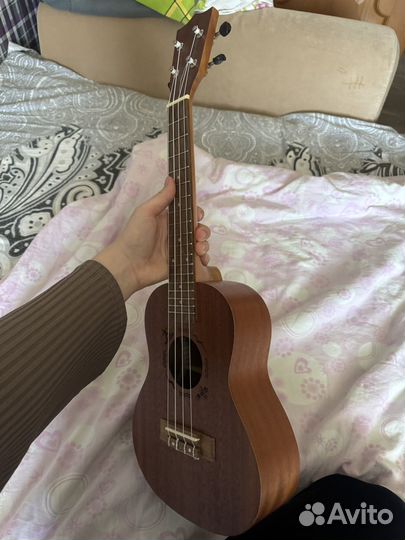 Укулеле flight концерт