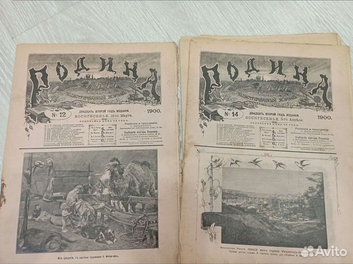 Журнал Родина, 1900 г