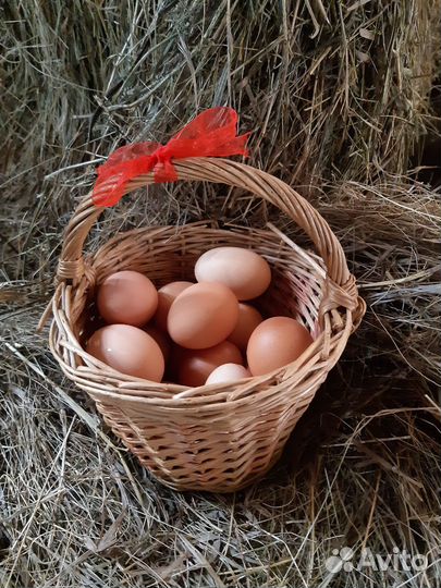 Домашненее:Копченое сало,яйцо,тушёнка свиная