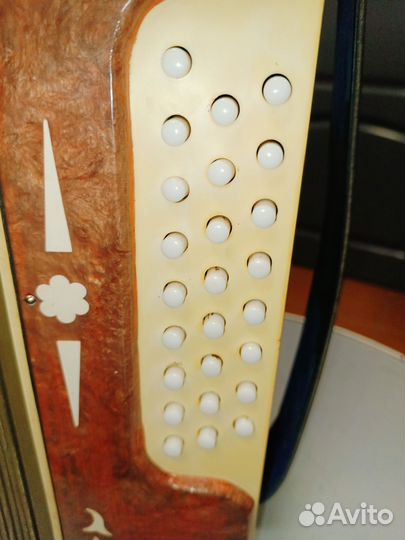 Гармонь Беларусь