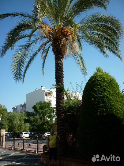 Винтажный ковёр