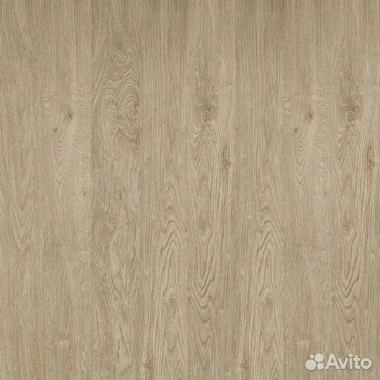 Intermezzo 833 Дуб Соната Бежевый 33 класс