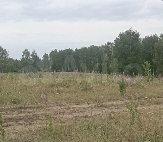 Участок 70 сот. (ИЖС)