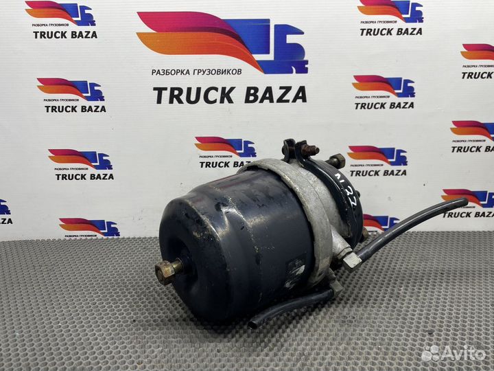 81504116014 Энергоаккумулятор тормозной задний пра