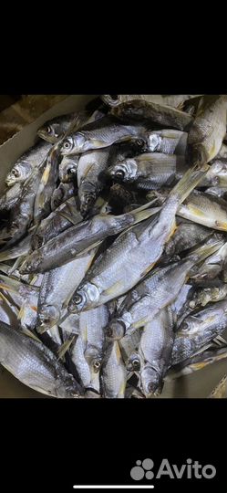 Вяленая рыба с цеха