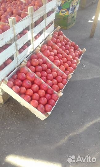 Тара (ящик деревянный, лоток) для овощей, фруктов