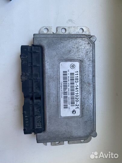 Мозги на калину