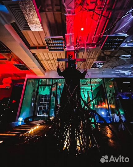 Услуги декоратора, озеленение, фотозоны