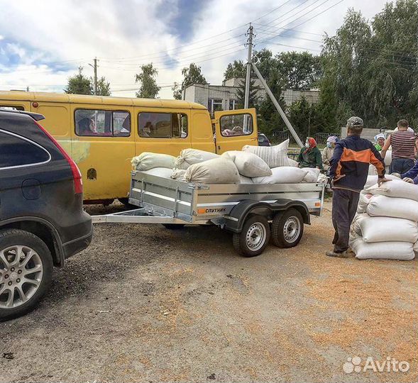 Удлиненные Спутники в полном цинке