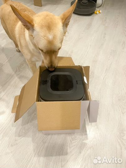 Автоматическая кормушка для собак/кошек Colby