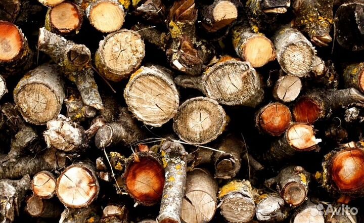 Дрова с пилорамы