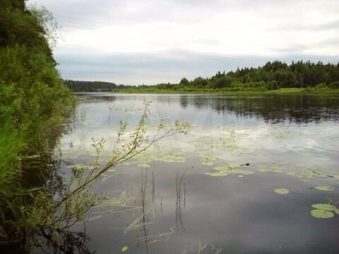 Участок 11 сот. (СНТ, ДНП)