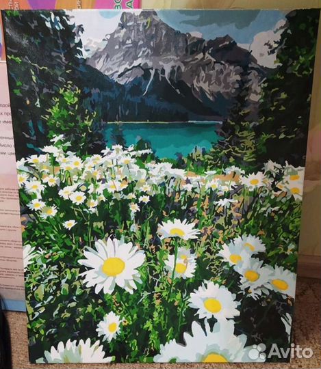 Рисую картины по номерам на Заказ