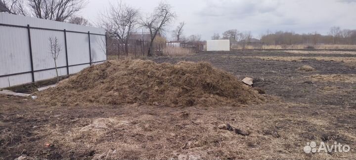 Навоз коровий