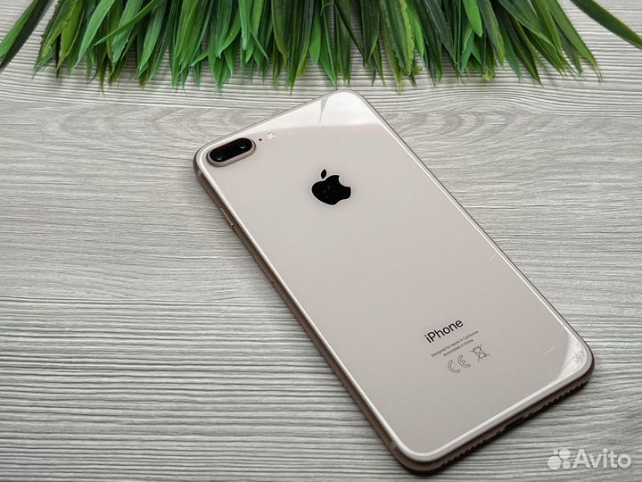 iPhone 8 Plus, 64 ГБ