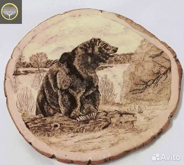 Пирокартина CK119