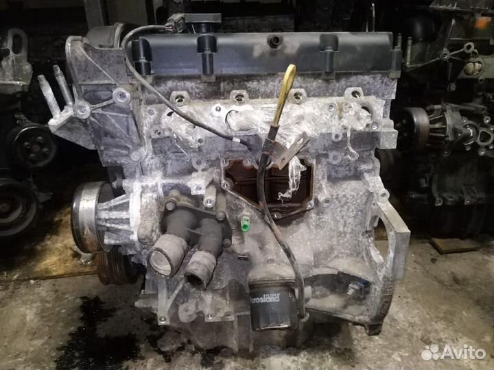 Двигатель hwda Ford Focus 2