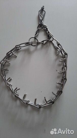 Строгий ошейник для собак