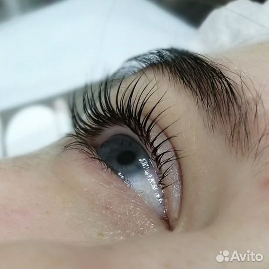 Вельвет ресниц+ботокс 6д
