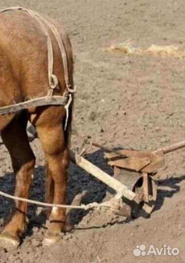 Лошадиная дуга, валек для плуга и бороны