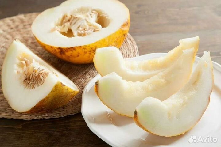 Дыня колхозница