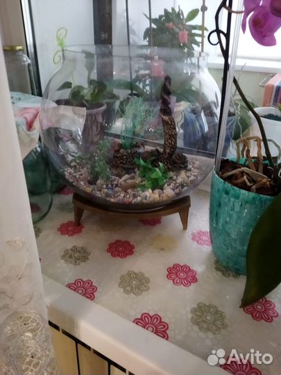 Продам аквариум