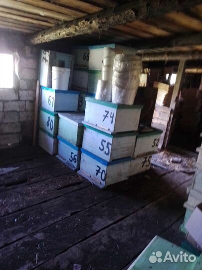 Ульи для пчел