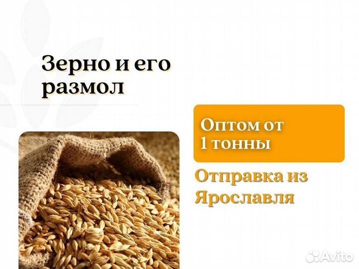 Пшеница Зерно (кг)