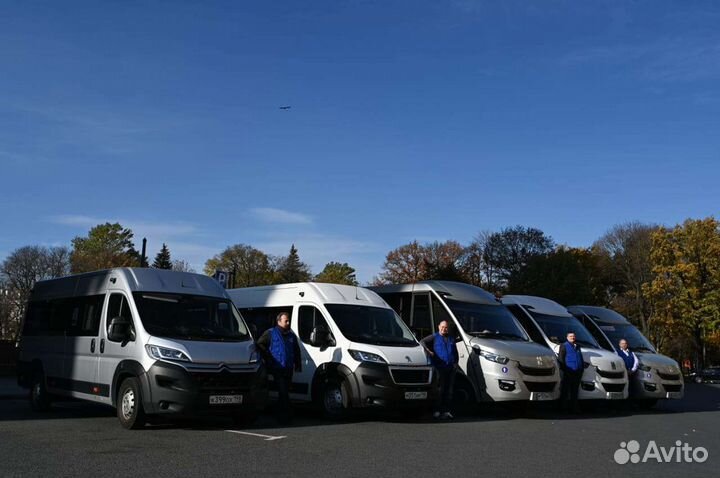 Минивэн, микроавтобус, автобус с водителем