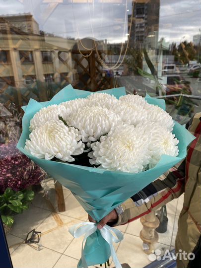 Букет из 11 крымских хризантем