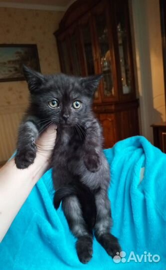 Я хочу домой