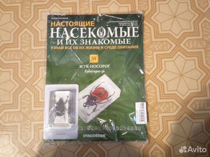 Настоящие насекомые и их знакомые Жук Носорог