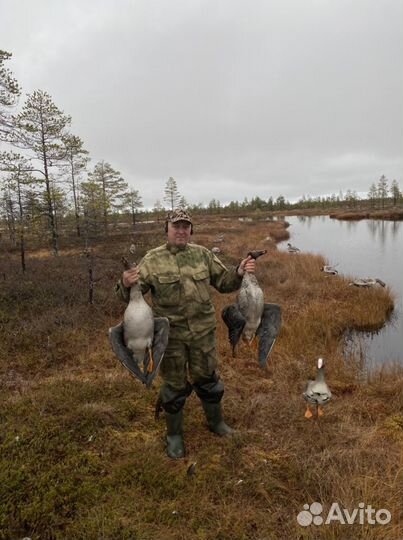 Чучела гусей гуменник и другие