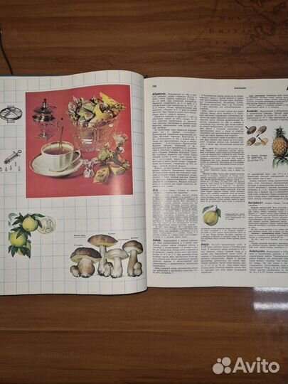 Краткая энциклопедия домашнего хозяйства. 1988