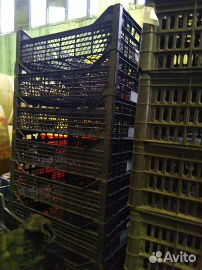 Продам ящики пластиковые для фруктов, овощей, гриб