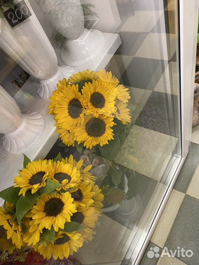 Букеты,цветы,гелиевые шары, 1 сентября