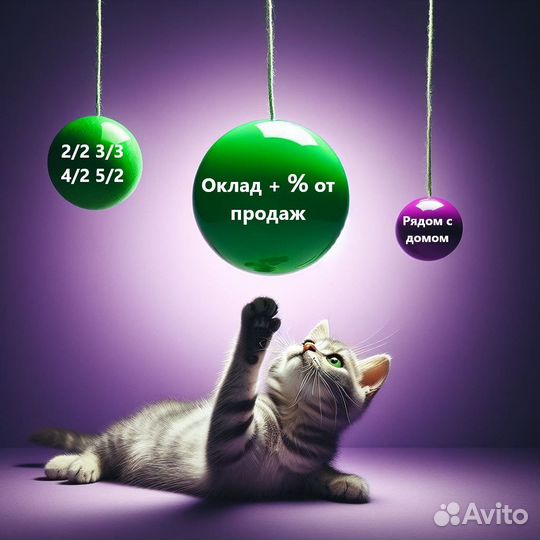 Продвец (Черняховск)